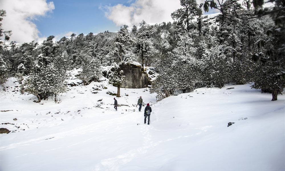 Things I like and dislike about Brahmatal Trek