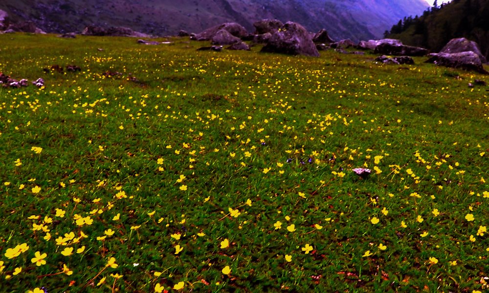 Har Ki Dun Trek - 5 Things You Would Never have Expected