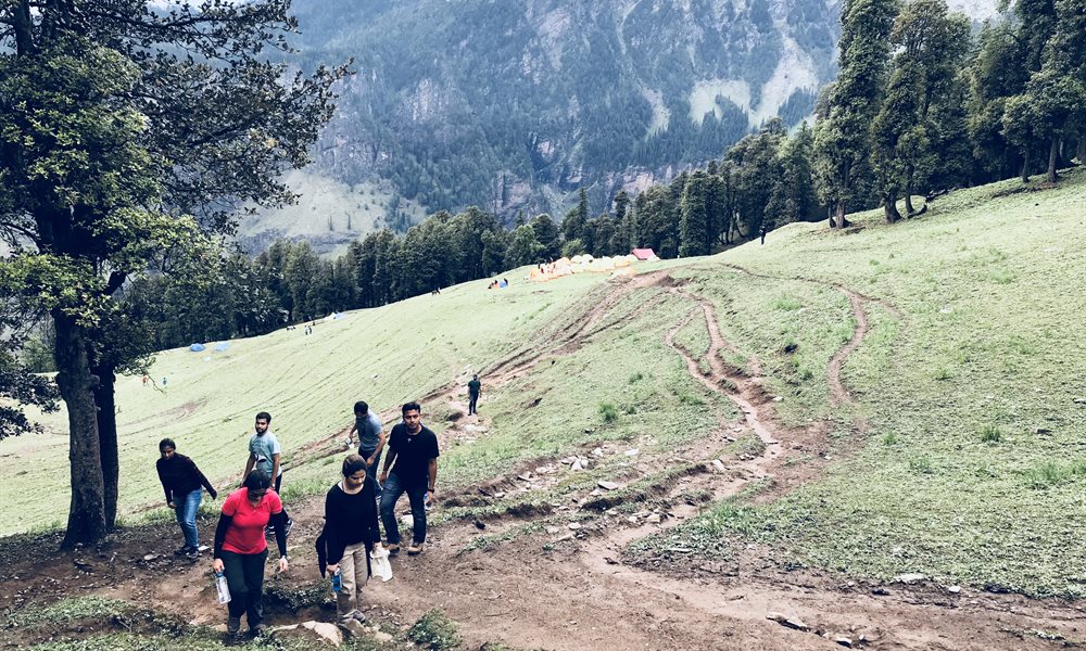 A beautiful summer trail
