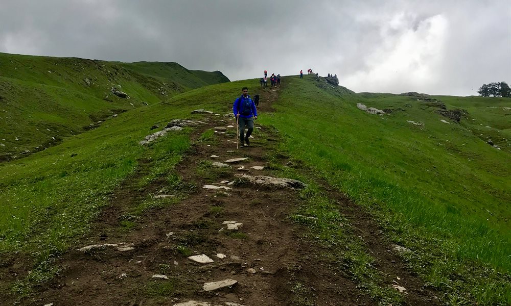 A beautiful summer trail