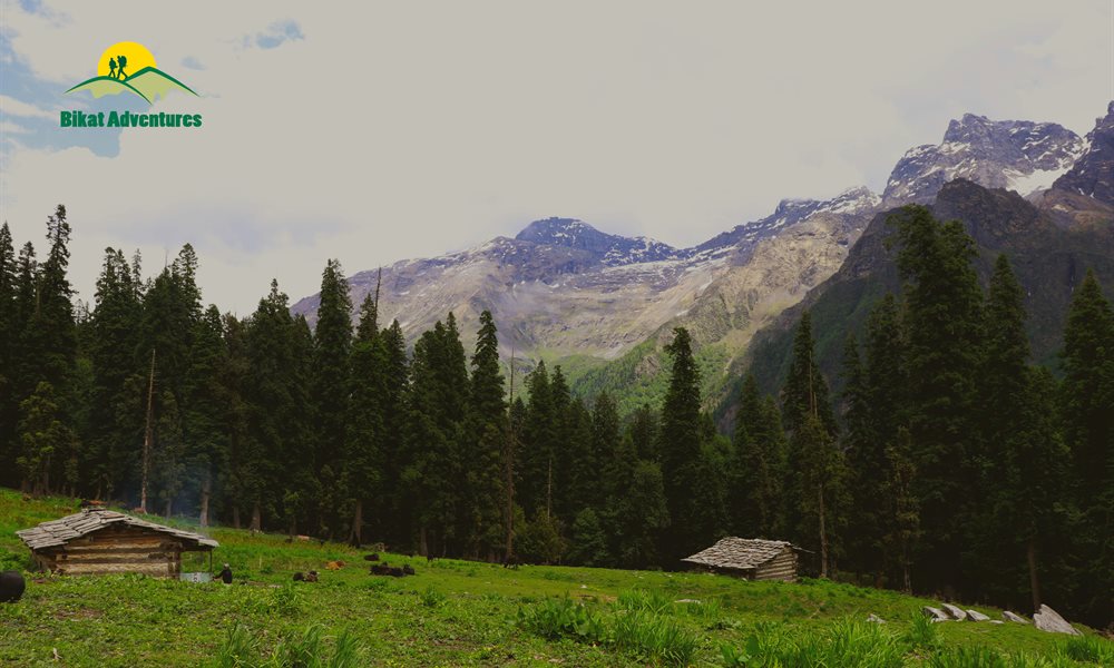 Buran Ghati: A Living Dream