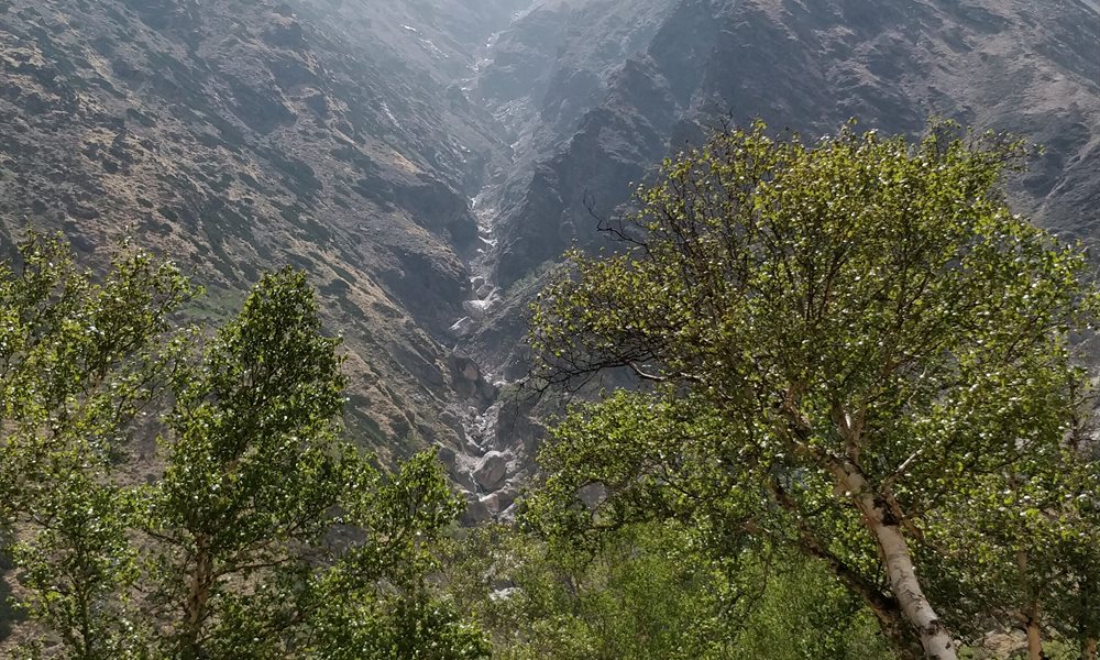 Kedartal : where the streams gurgle and the  mountains whisper 