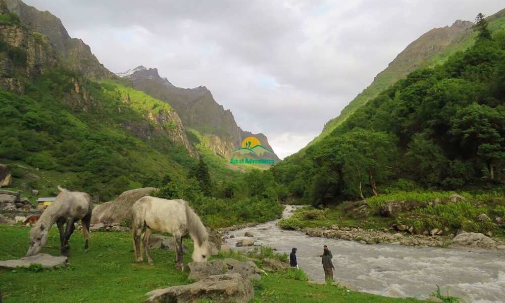 Deo Tibba Base Camp: A Healing Trek