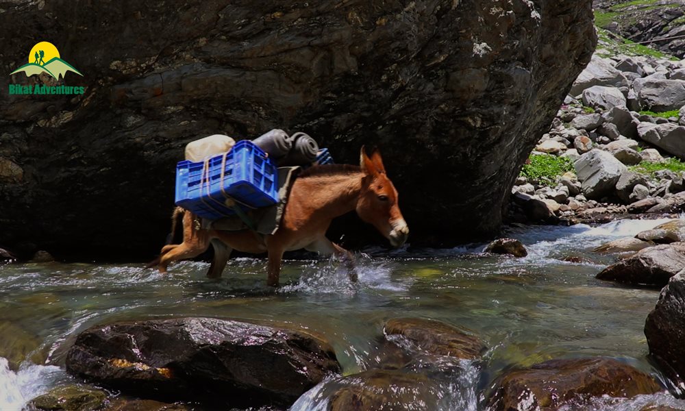Hampta Pass: Straight Out Of Postcard
