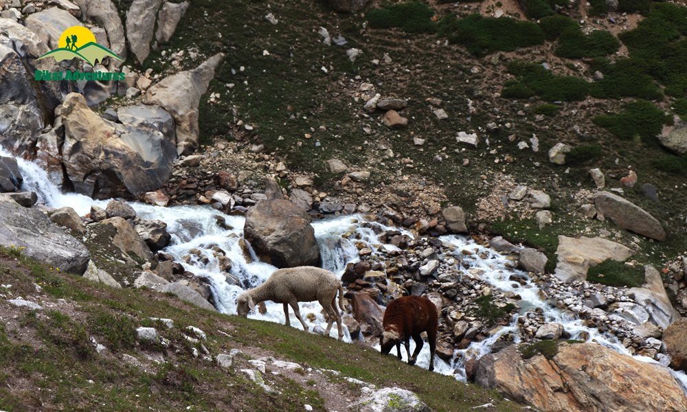 Hampta Pass Without Rain? No Chance