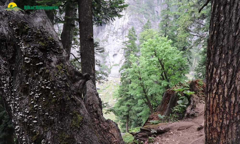 Hampta Pass: The Variant Topography