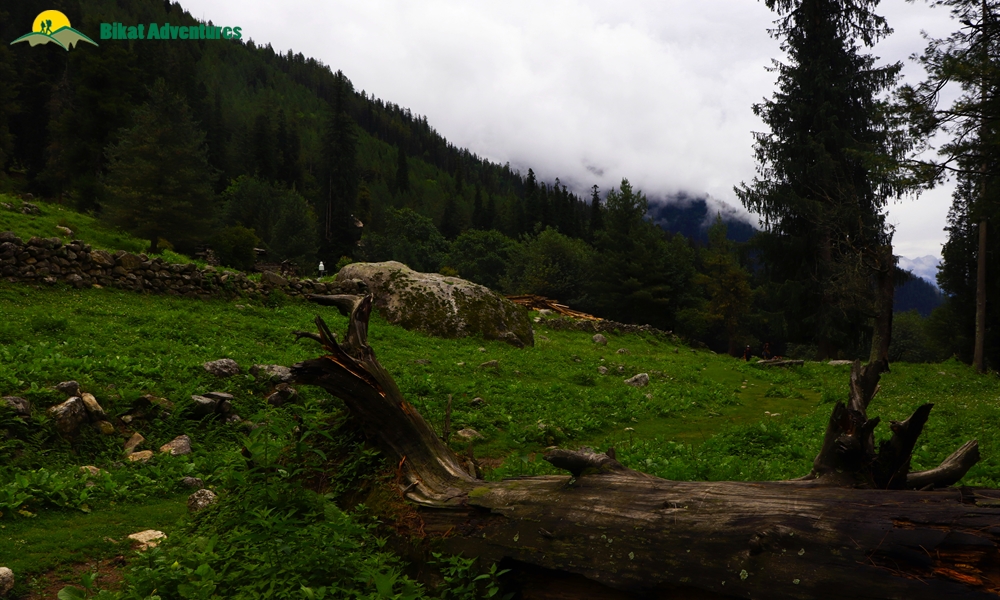 Pin Bhaba Pass: The Photo Journal To Wonderland
