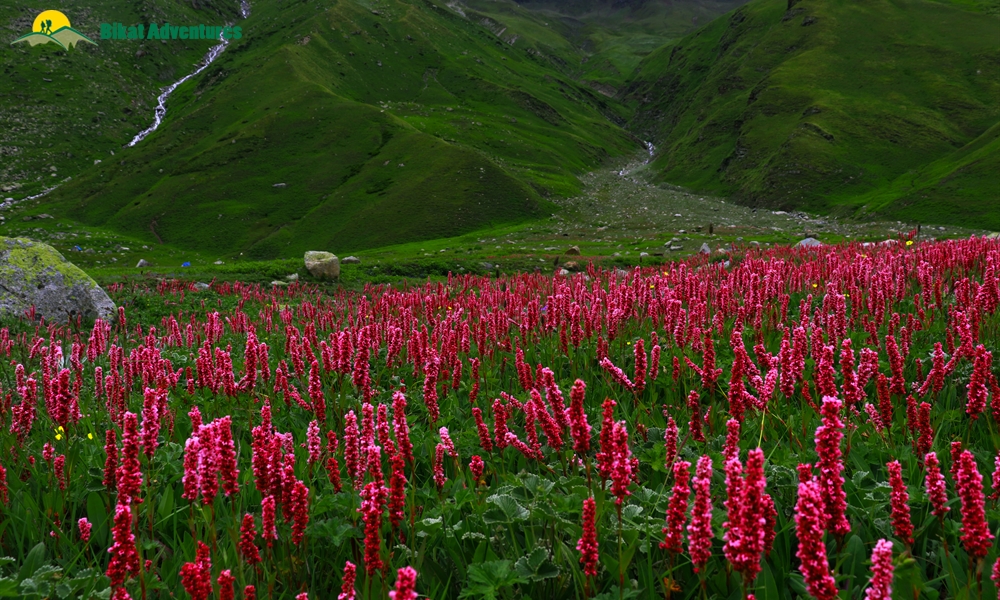 Pin Bhaba Pass: The Photo Journal To Wonderland