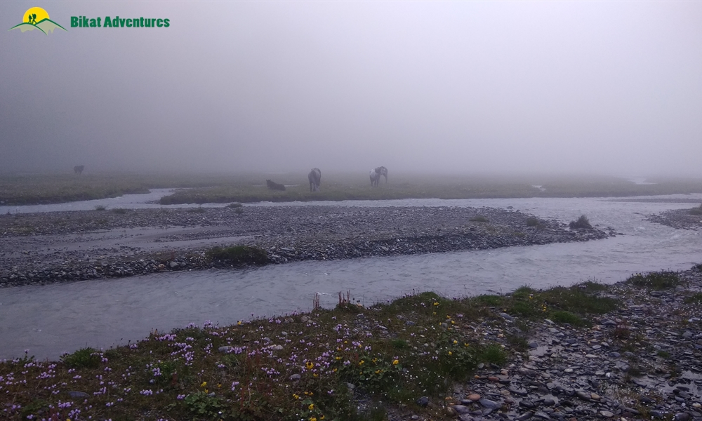 Pin Bhaba Pass: 5 Things To Look Forward