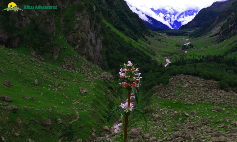 Pin Bhaba Pass: 5 Things To Look Forward