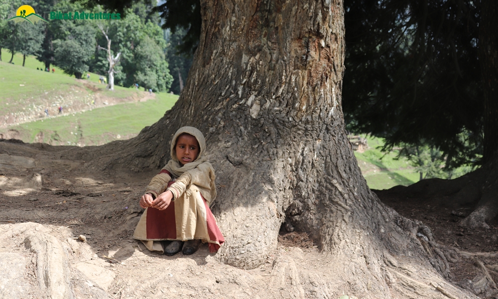 Kashmir Great Lakes: Wonderland Captured!