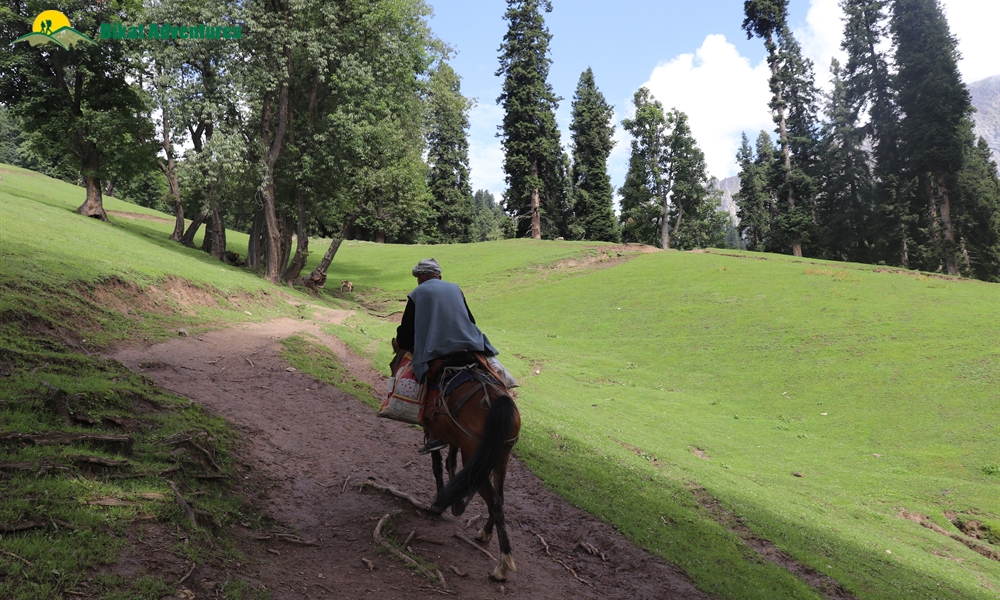 Returning Tanned and Mesmerized From Kashmir Great Lakes
