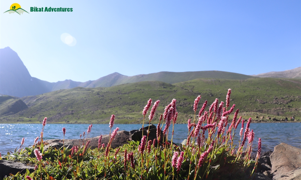 Five Fun Activities to Look Forward to at Kashmir Great Lakes