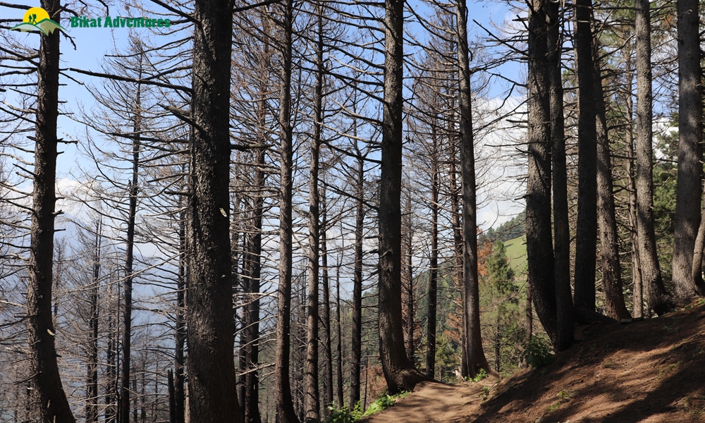 Why Kashmir Great Lakes Should Be Your Next Trek