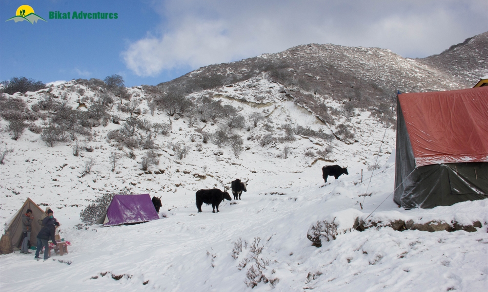 Winter Hiking Tips and Tricks: Points To Remember
