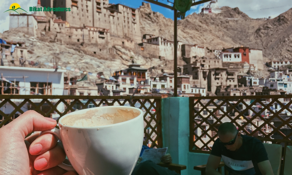 From Leh to Nubra with Wolves