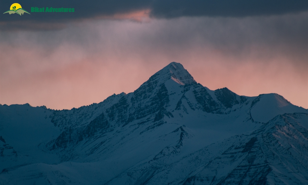 From Leh to Nubra with Wolves