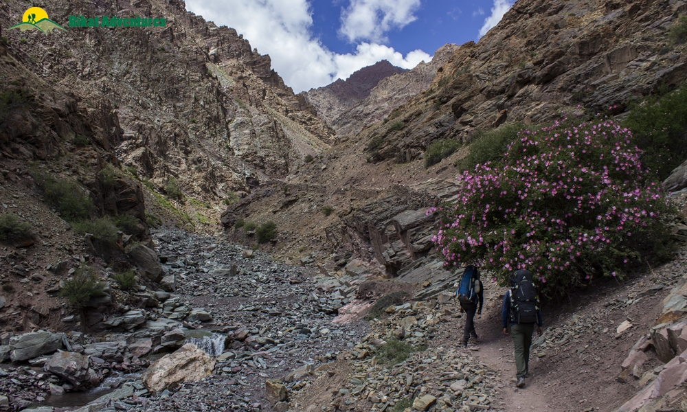 Kang Yatse : Throne of the Markha Valley