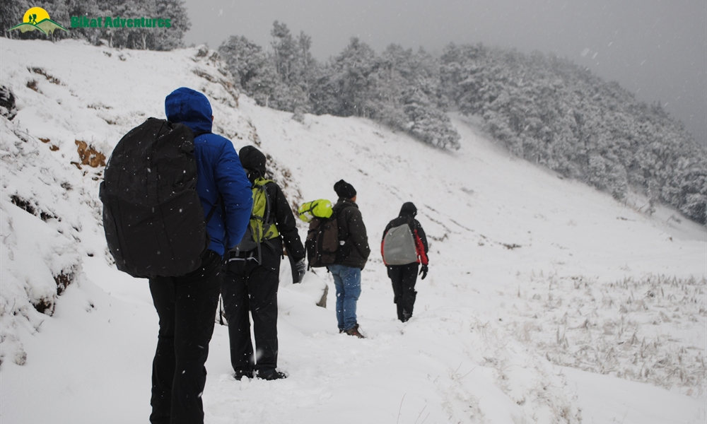 New Year Treks 