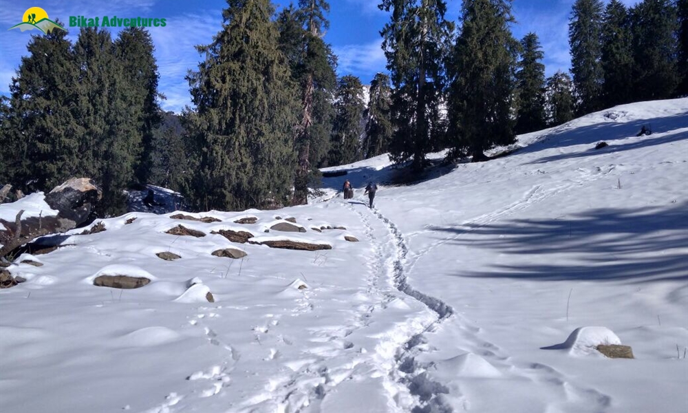 New Year Treks 