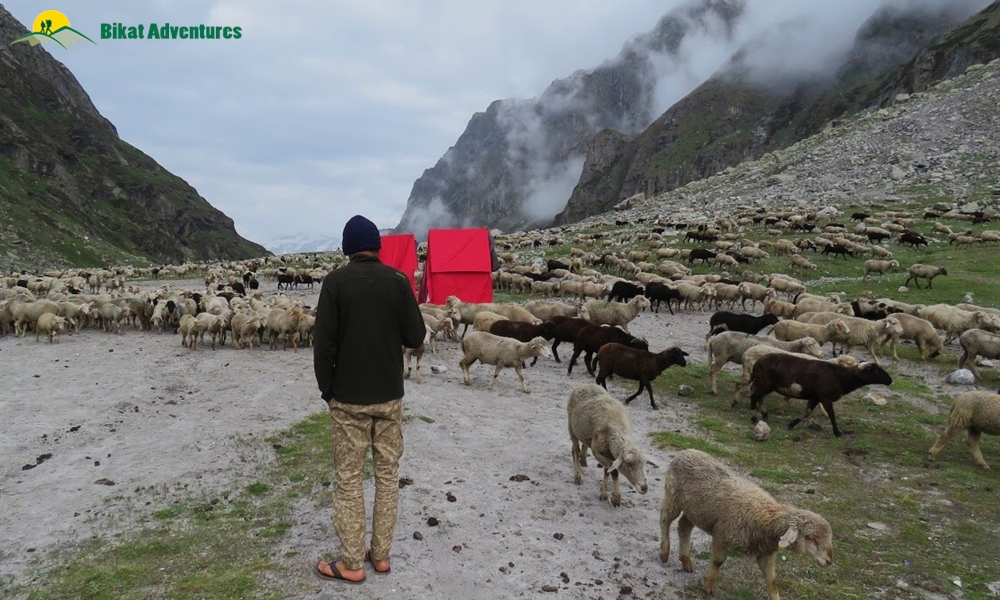 Bucket List Treks For 2019