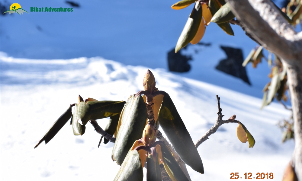 Trekking: A Life Beyond Luxury