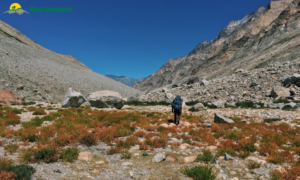 Rainbows and Near Death Experiences: Trekking Miyar Valley to Kang La