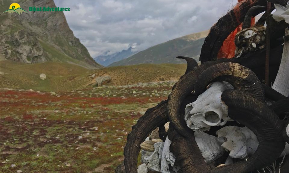 These 4 Campsites Of Miyar Valley Will Leave You Speechless
