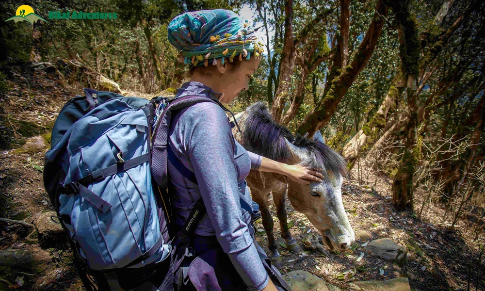 Seven Reasons Why You Should Go For The Annapurna Base Camp Trek