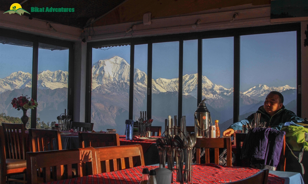 Seven Reasons Why You Should Go For The Annapurna Base Camp Trek