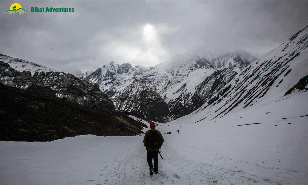 Seven Reasons Why You Should Go For The Annapurna Base Camp Trek