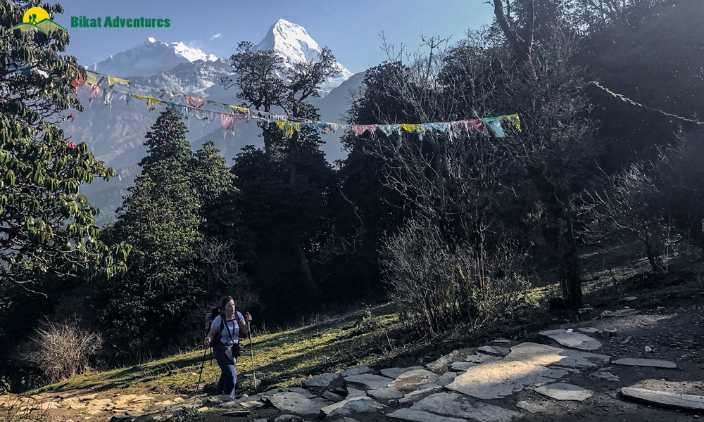 Trekking Annapurna Base Camp: A Complete Guide