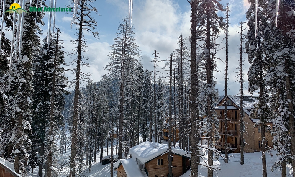 Skiing In India: A Complete Guide To Where, When And How