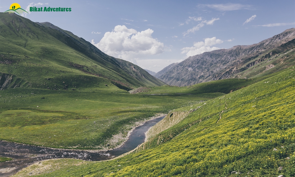 Debunked: Octopus Attacks Sheep On Kashmir Great Lakes Trek
