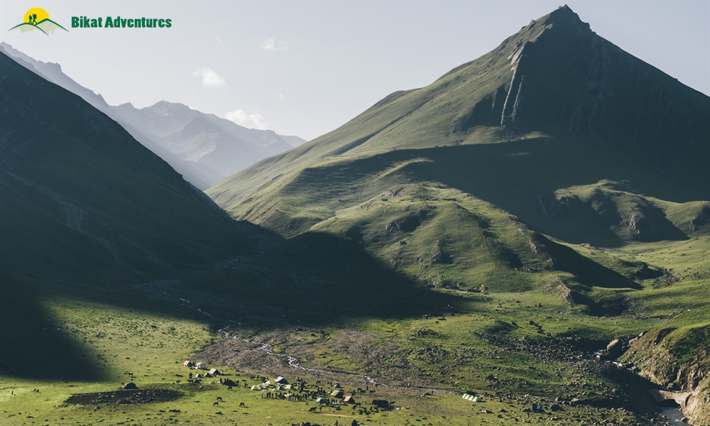 Debunked: Octopus Attacks Sheep On Kashmir Great Lakes Trek