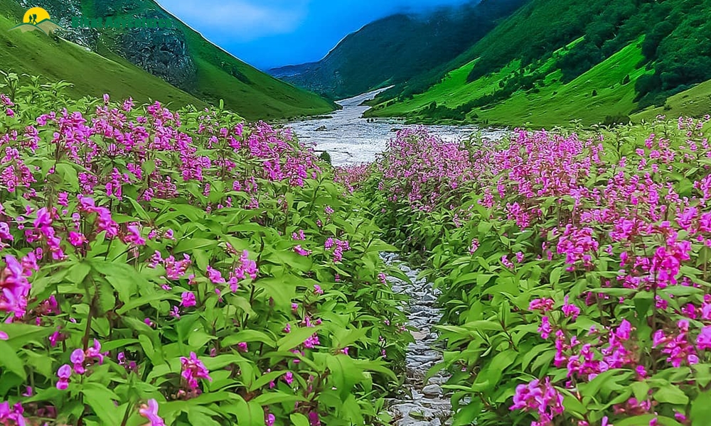Valley of Flowers Trek Pictures BIkat