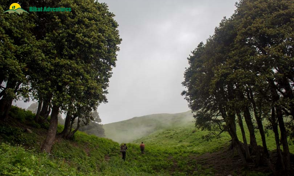 Kalihani Pass Trek - An Insight 