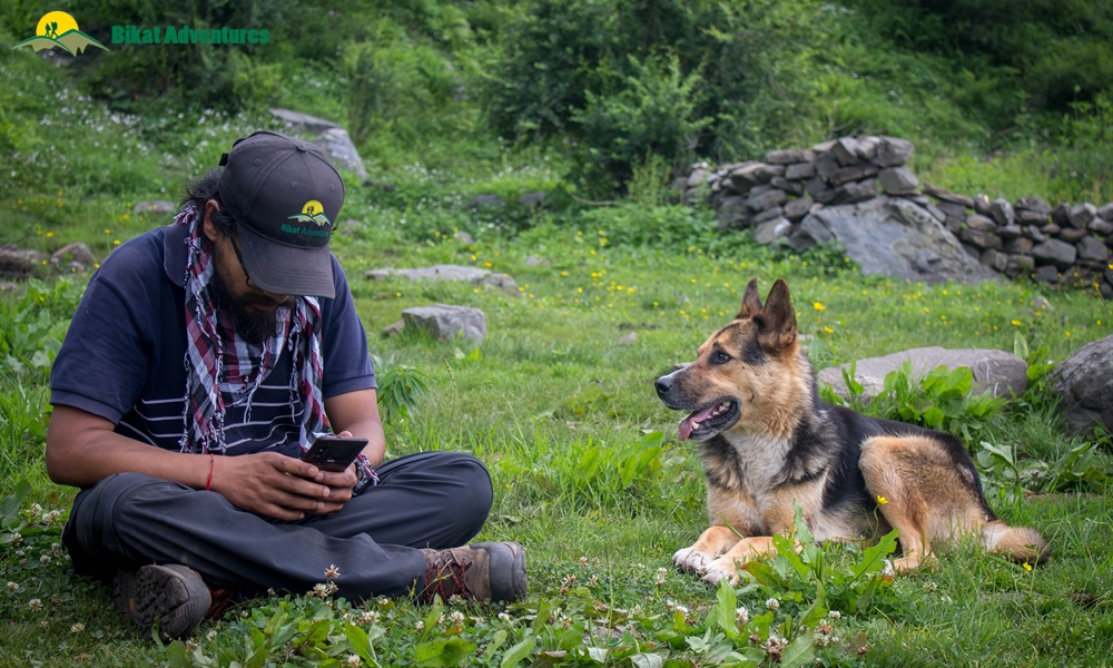 A Visual Narration of Kalihani Pass Trek