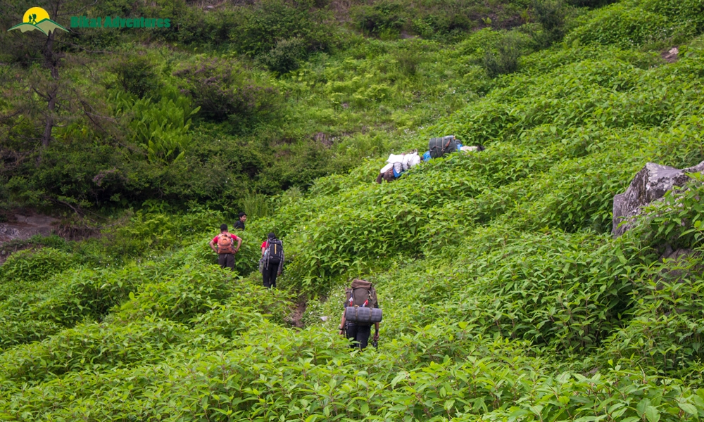 A Visual Narration of Kalihani Pass Trek