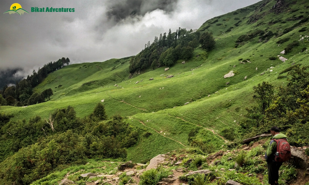 A Visual Narration of Kalihani Pass Trek