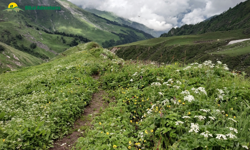 A Visual Narration of Kalihani Pass Trek