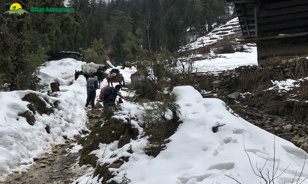 KEDARKANTHA TREK  IN MARCH A PHOTO STORY
