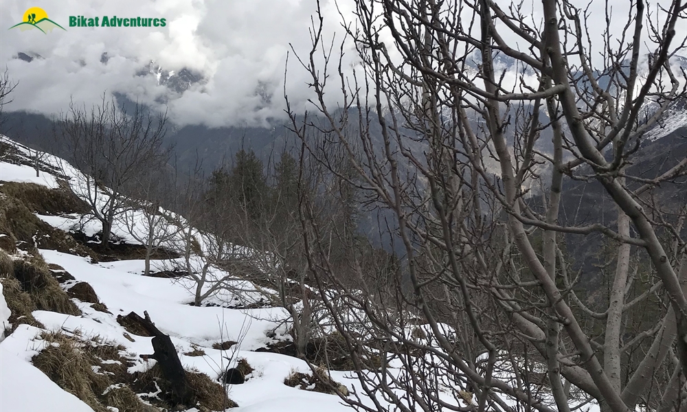 KEDARKANTHA TREK  IN MARCH A PHOTO STORY