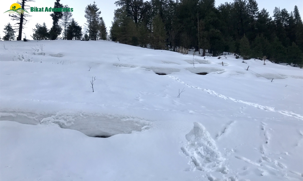 KEDARKANTHA TREK  IN MARCH A PHOTO STORY