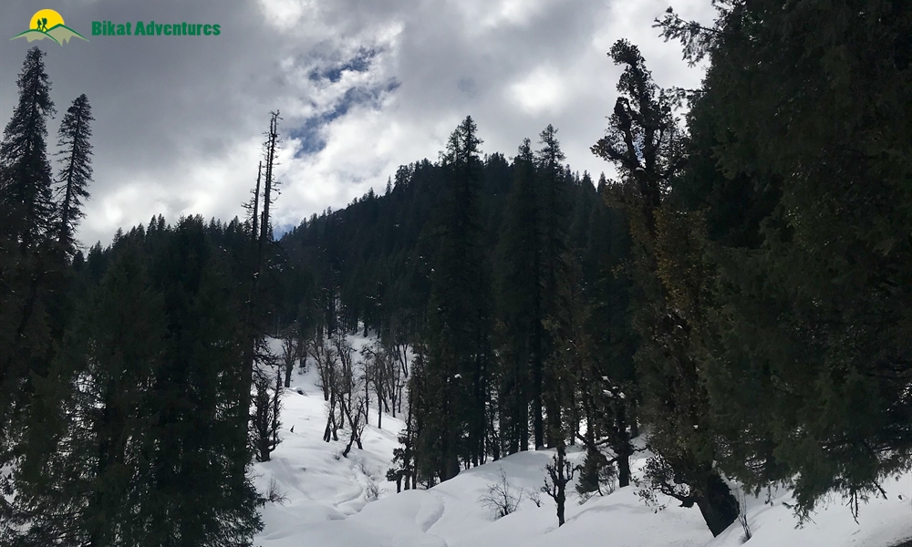 KEDARKANTHA TREK  IN MARCH A PHOTO STORY