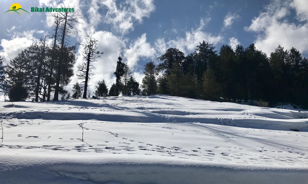 KEDARKANTHA TREK  IN MARCH A PHOTO STORY