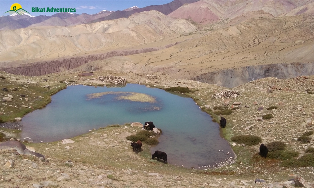 KANG YATSE II (THE PEAK OF MARKHA ) OR MARKHA VALLEY ? WHY NOT BOTH?