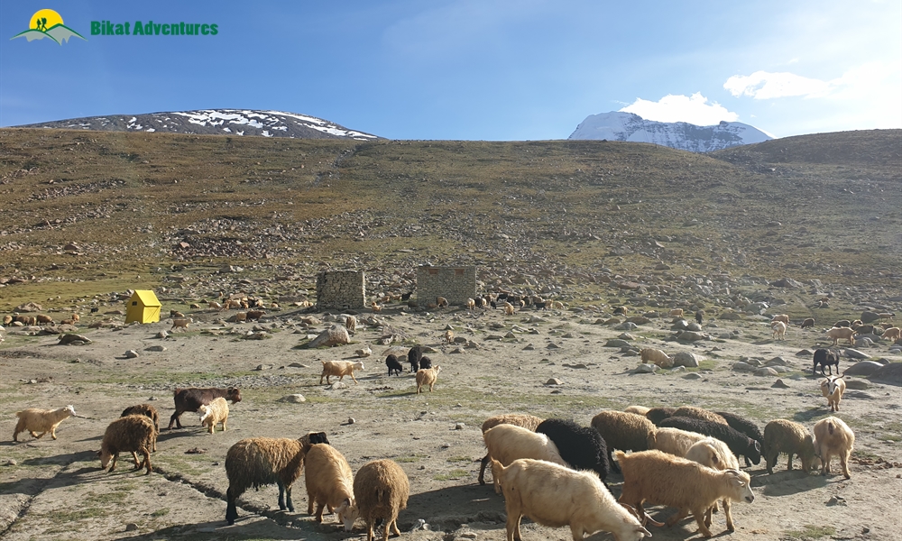 KANG YATSE II (THE PEAK OF MARKHA ) OR MARKHA VALLEY ? WHY NOT BOTH?