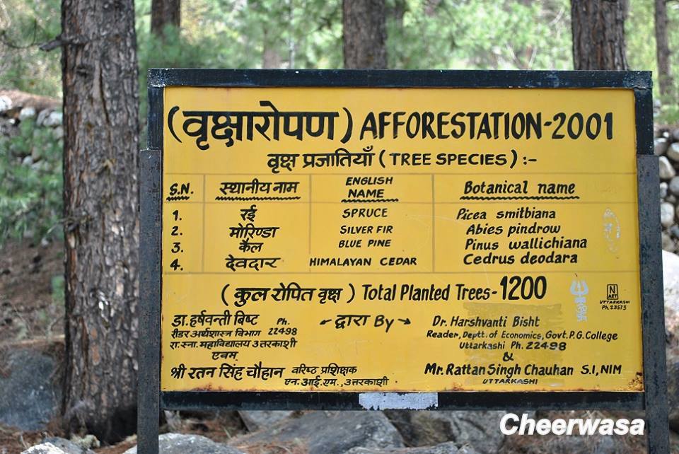 A Breath Taking Journey - My Journey To Meru Glacier