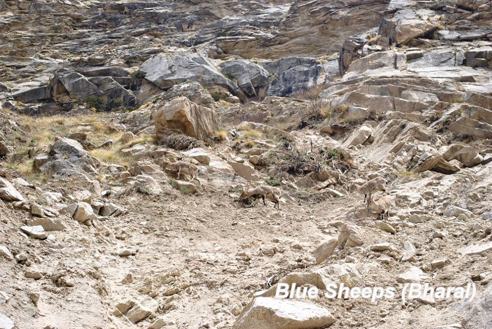 A Breath Taking Journey - My Journey To Meru Glacier